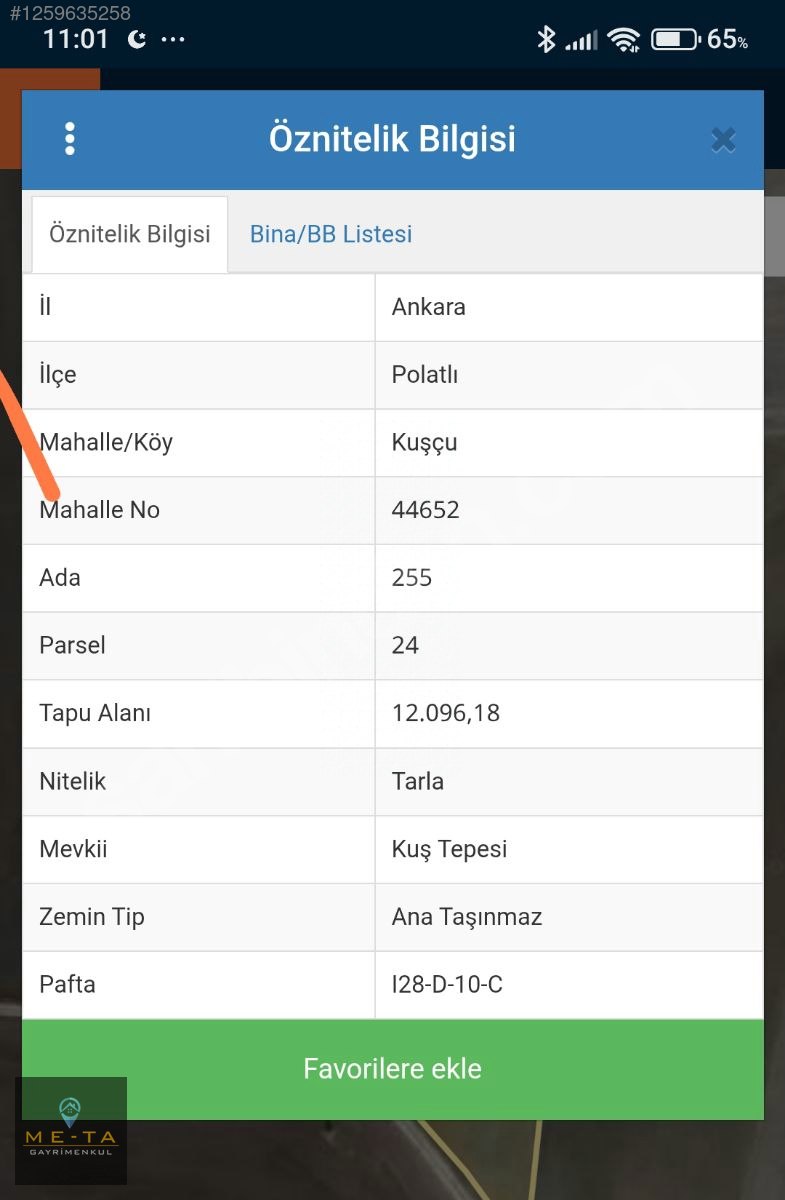 Fotoğraf
