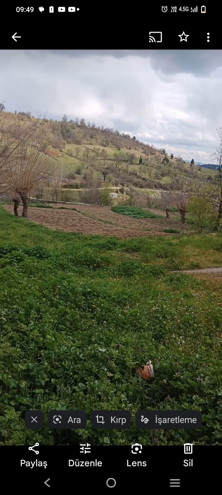 Fotoğraf
