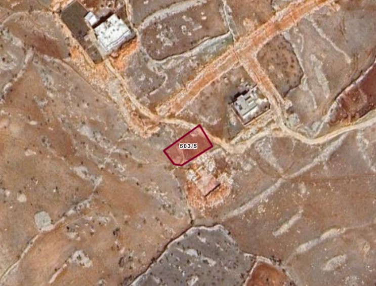 Fotoğraf