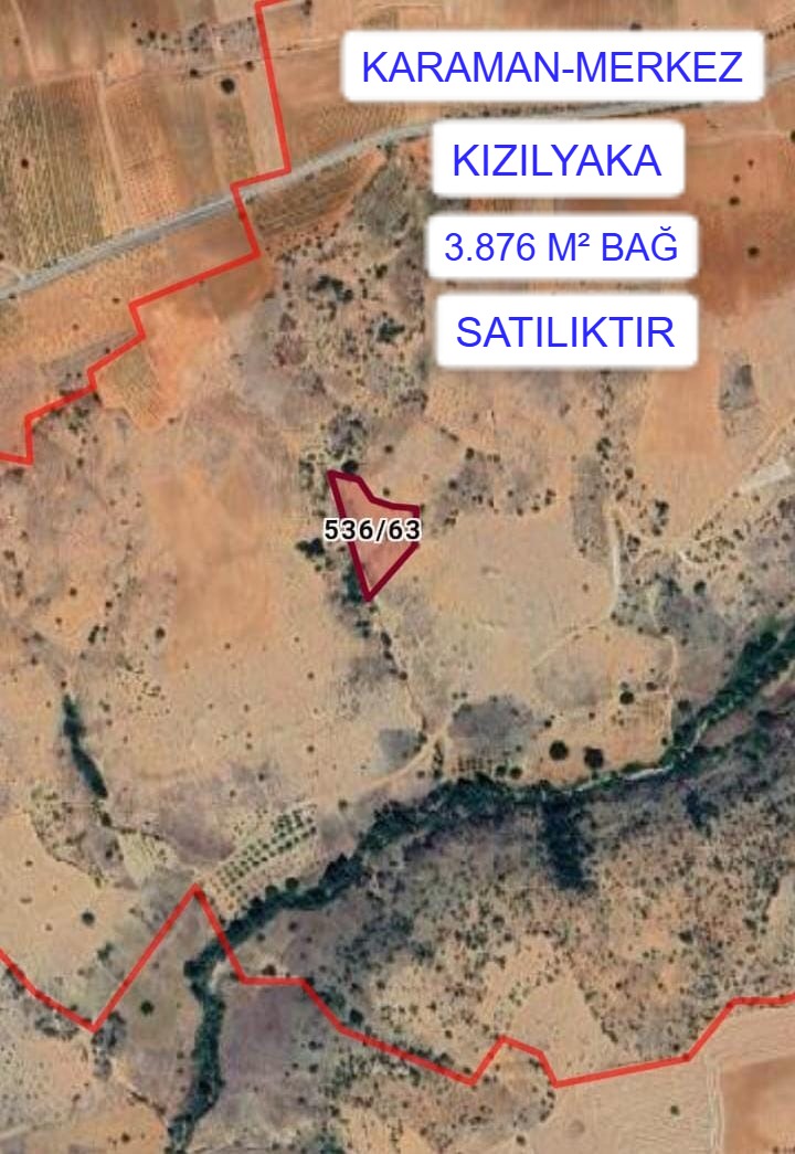 Fotoğraf