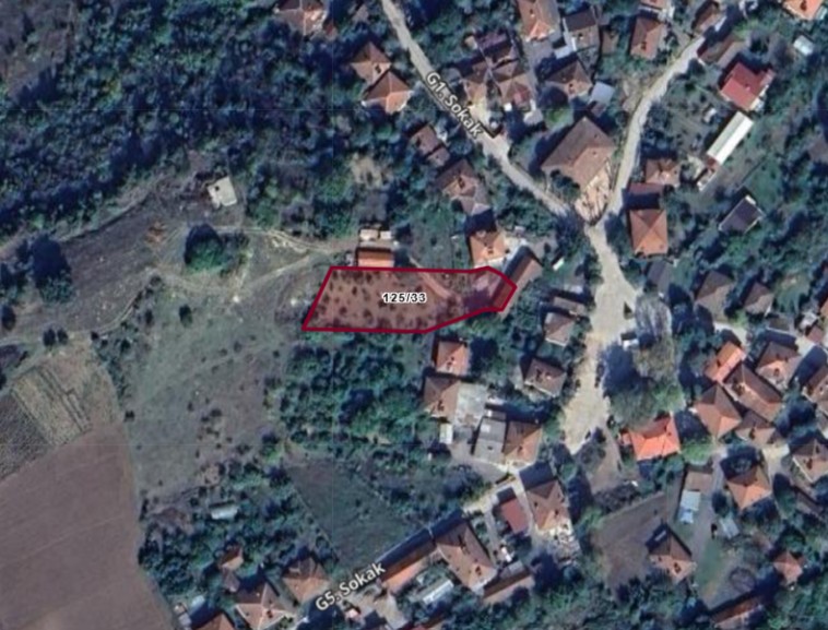 Fotoğraf