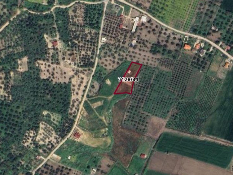 Fotoğraf