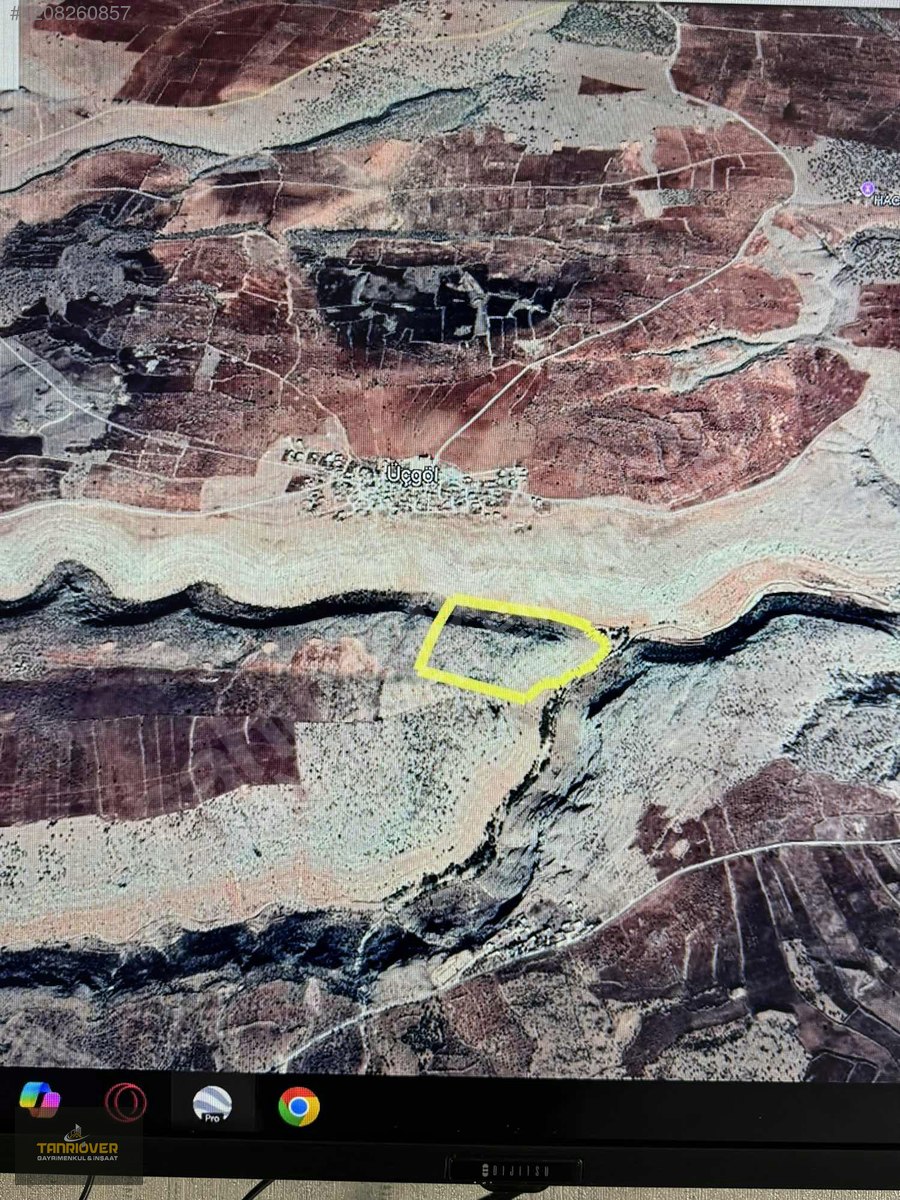 Fotoğraf