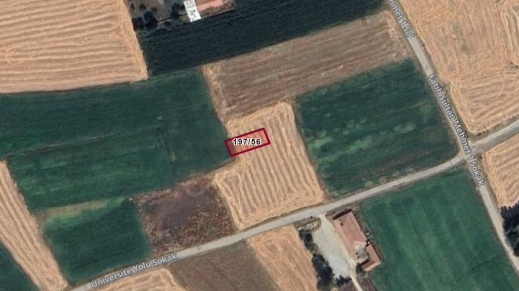 Fotoğraf