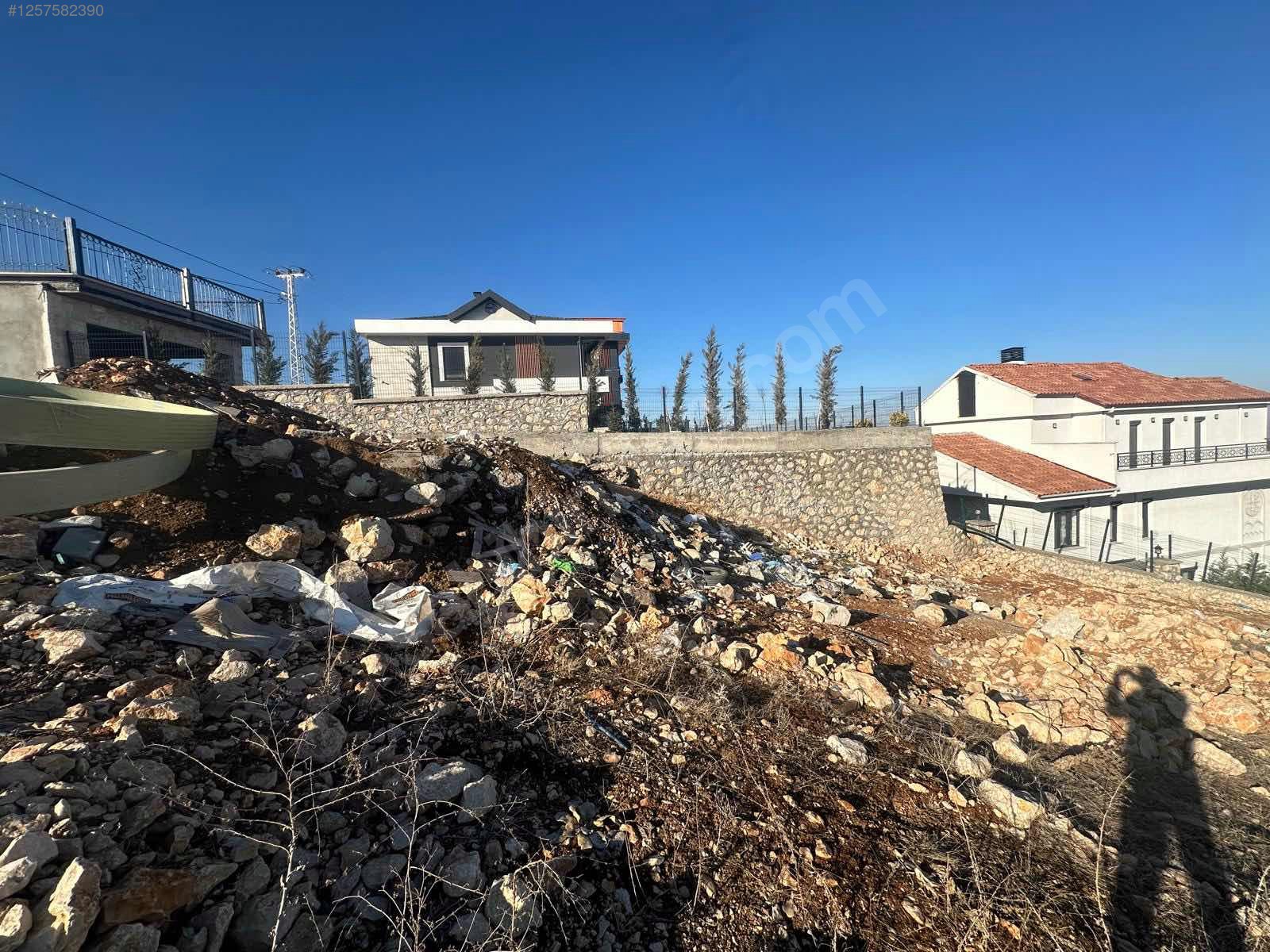 Fotoğraf