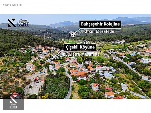Fotoğraf