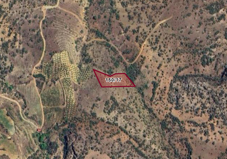 KONYA HADİM YELMEZ KÖYÜNDE 2.960   M²  BAĞ  SATILIKTIR