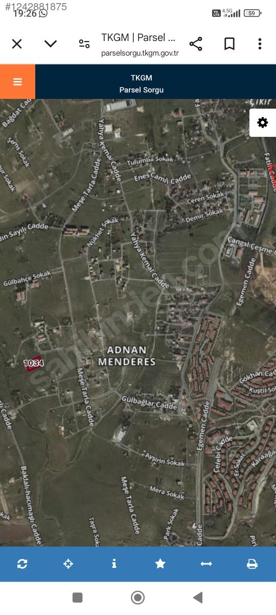 Fotoğraf