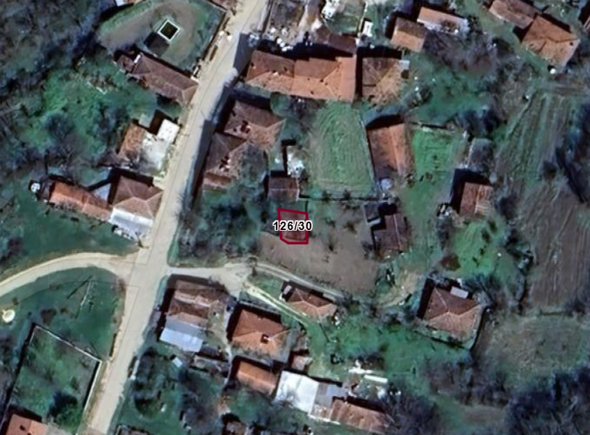 Fotoğraf