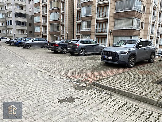 Fotoğraf