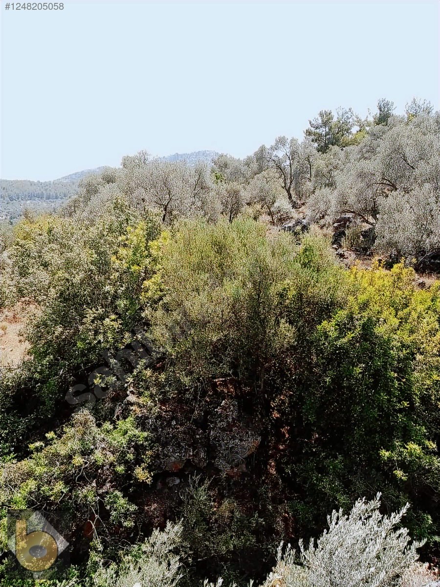İlan Fotoğrafı