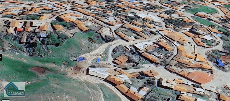 Fotoğraf