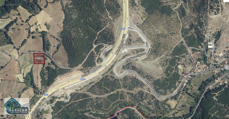 Fotoğraf