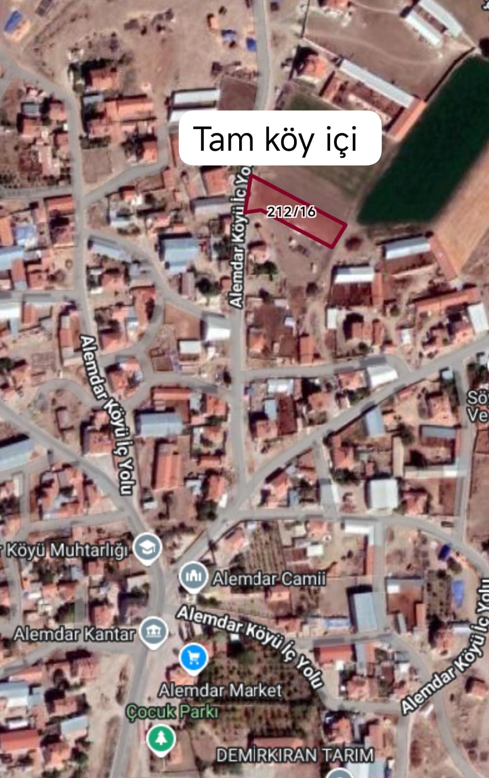 Fotoğraf