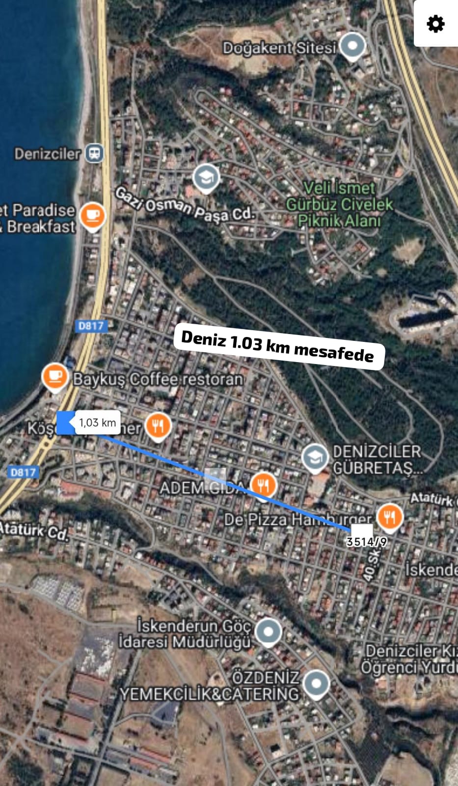 Fotoğraf