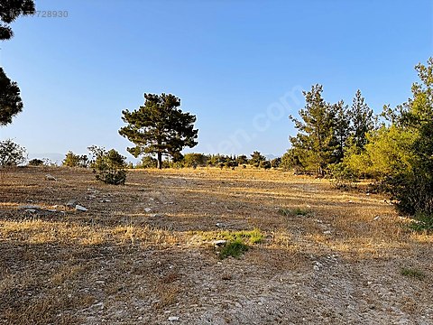 İlan Fotoğrafı