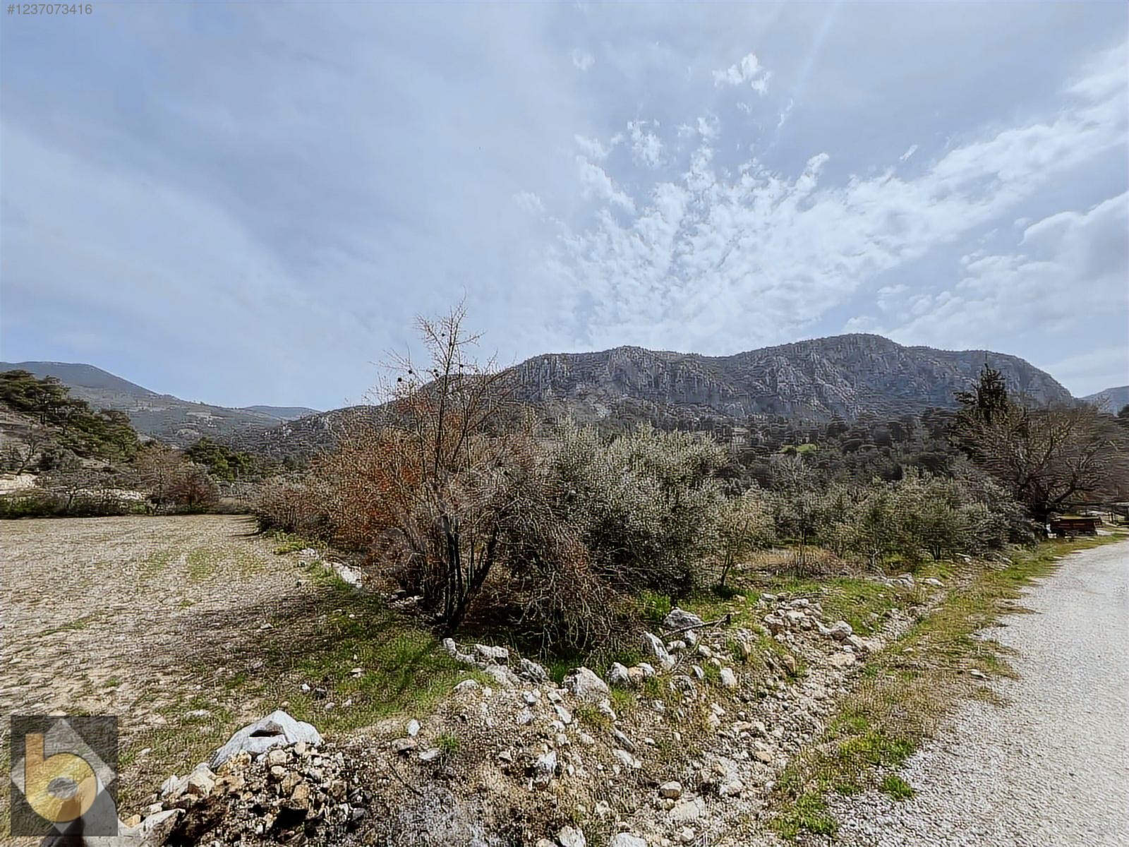 İlan Fotoğrafı