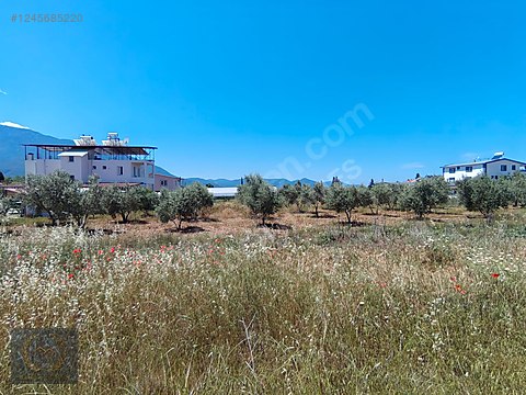 İlan Fotoğrafı
