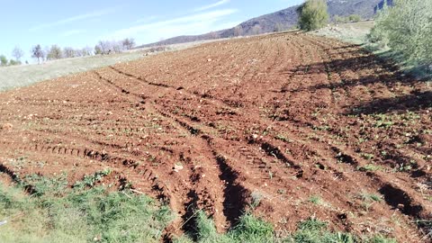 KONYA GÜNEYSINIR HABİLERDE 4117 MT² TARLAMIZ SATILIKTIR