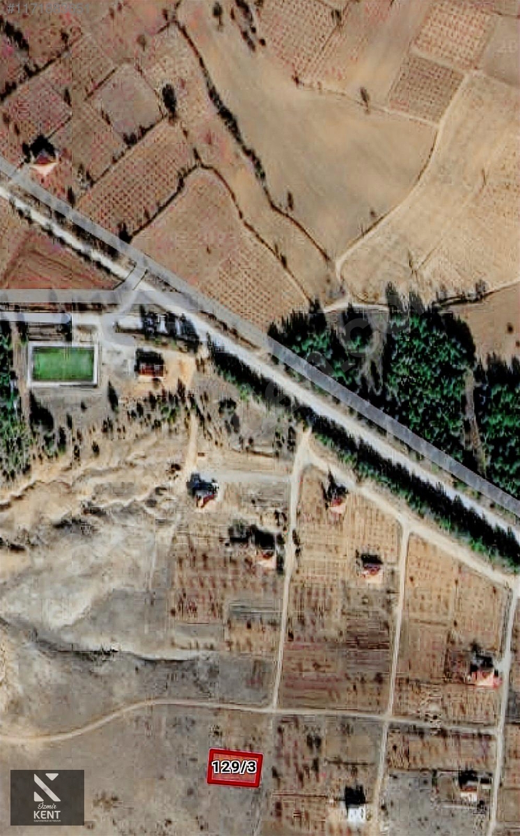 Fotoğraf