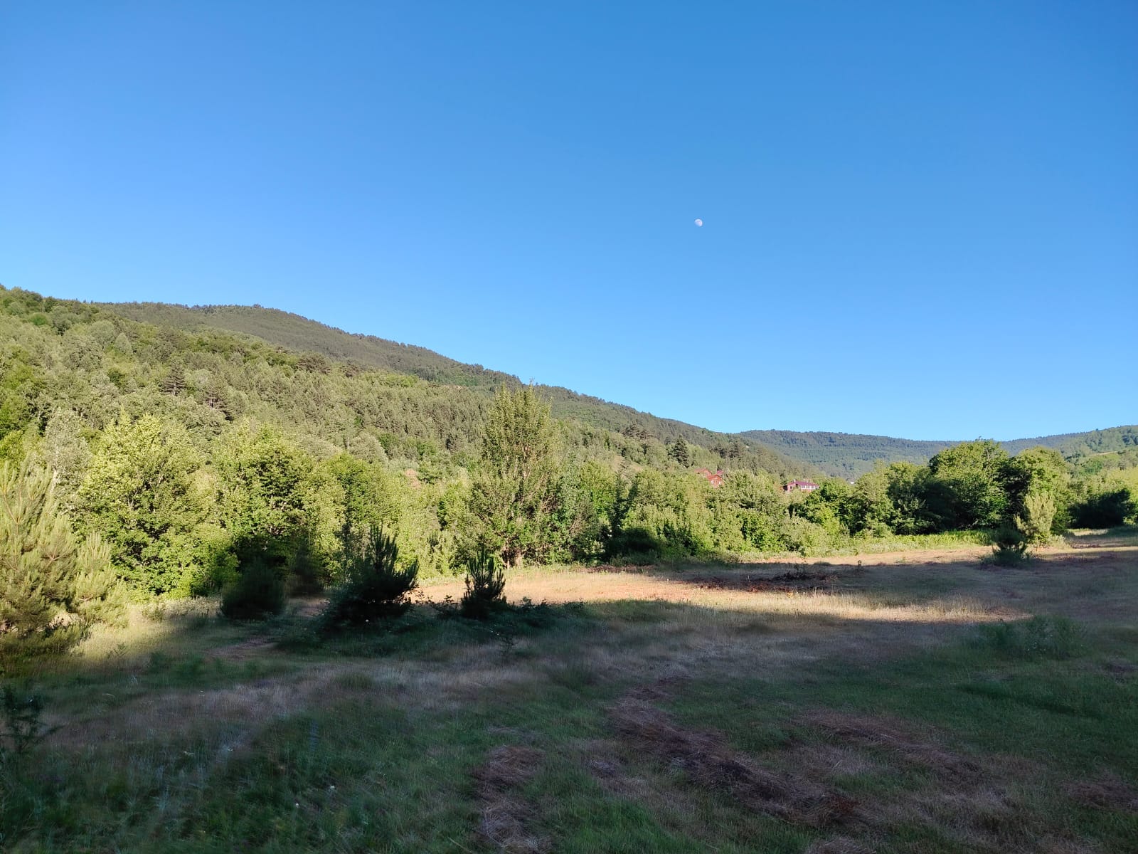 KASTAMONU PINARBAŞI HOCALAR  KÖYÜNDE  5.288 M²  TARLA  SATILIKTIR