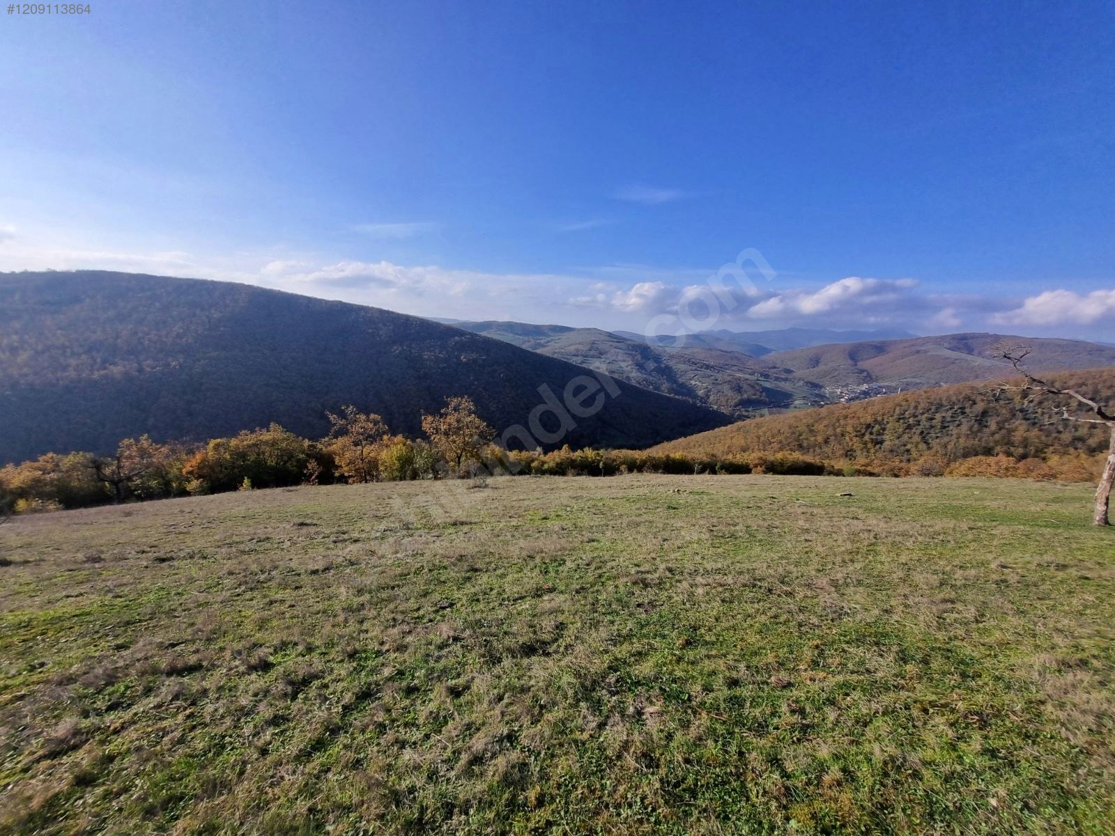 İlan Fotoğrafı