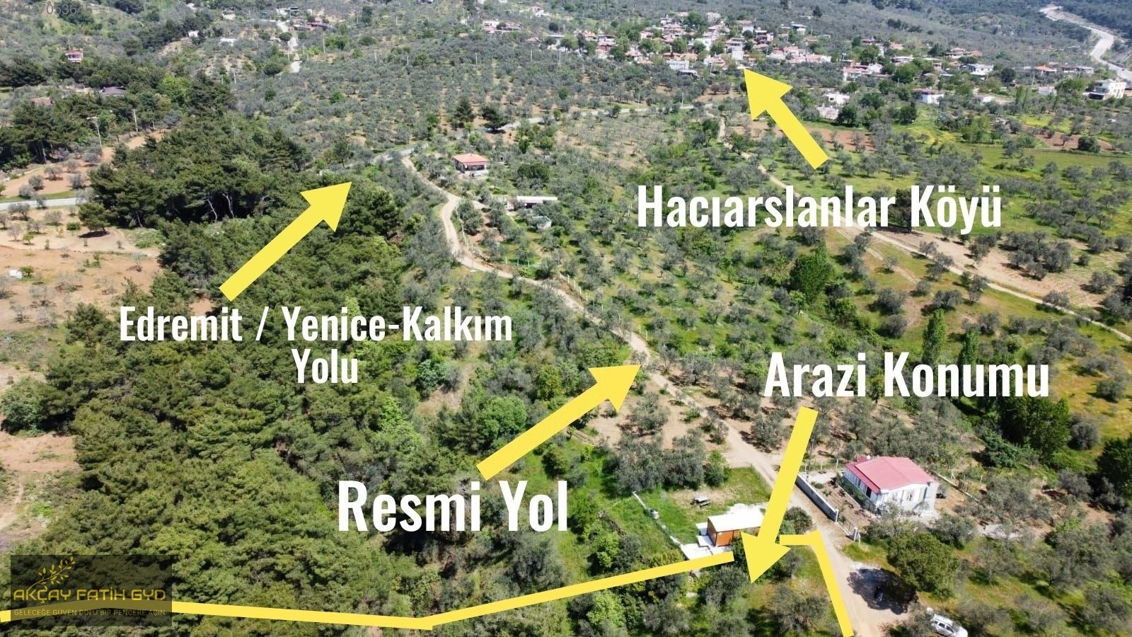 Hacıarslanlar da 3.100m2 SATILIK Kaçmaz Fırsat Zeytinlik