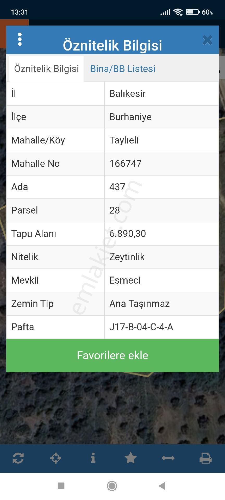 Fotoğraf
