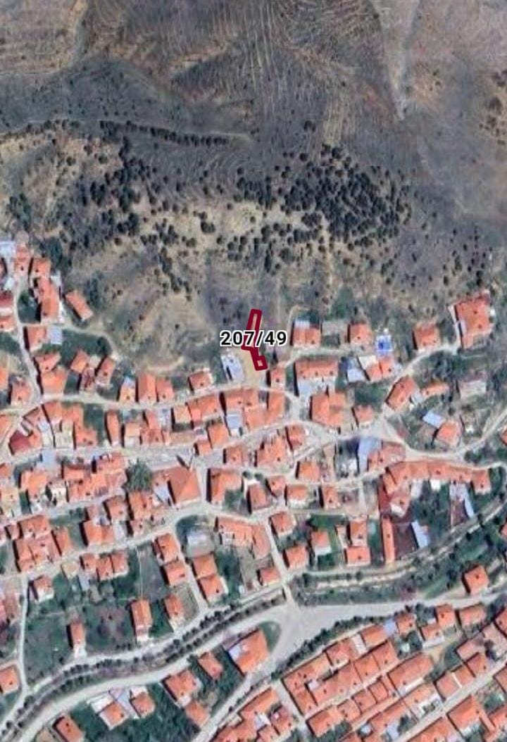 Fotoğraf
