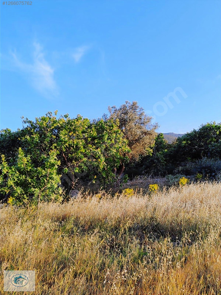 İlan Fotoğrafı