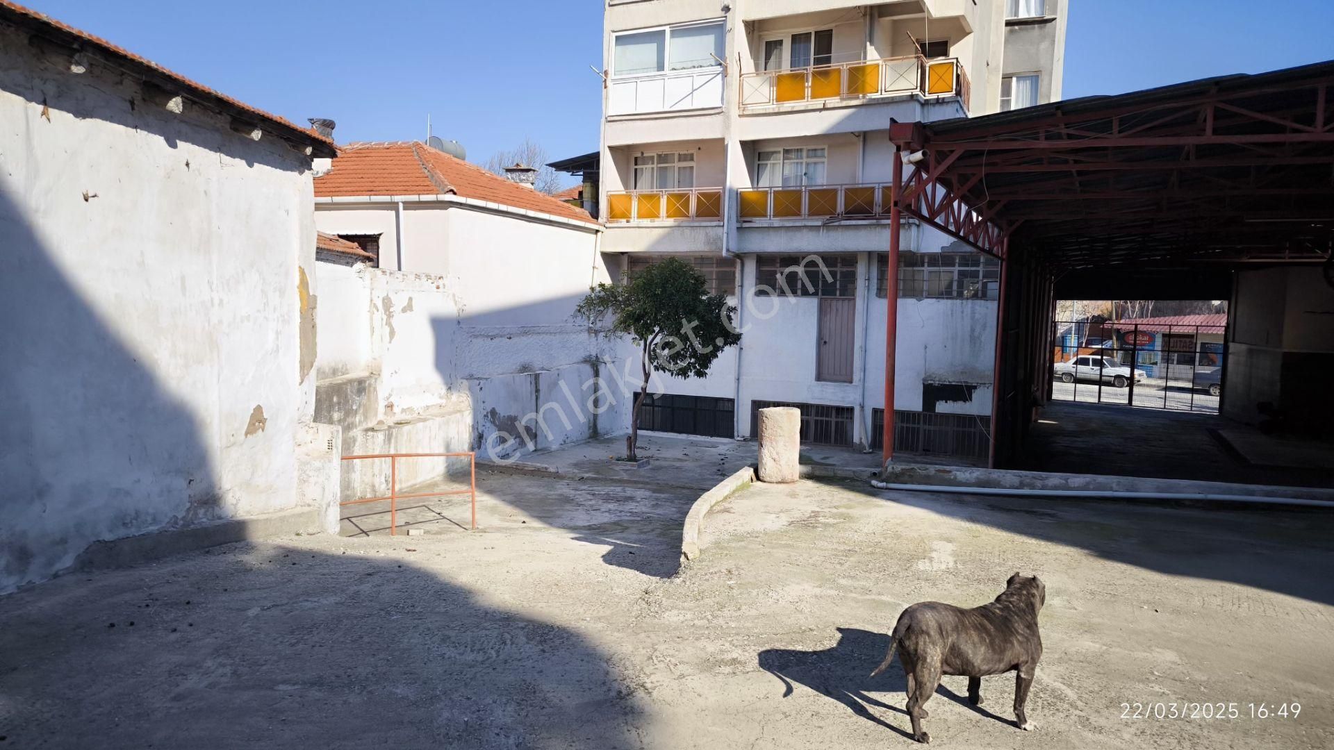 İlan Fotoğrafı