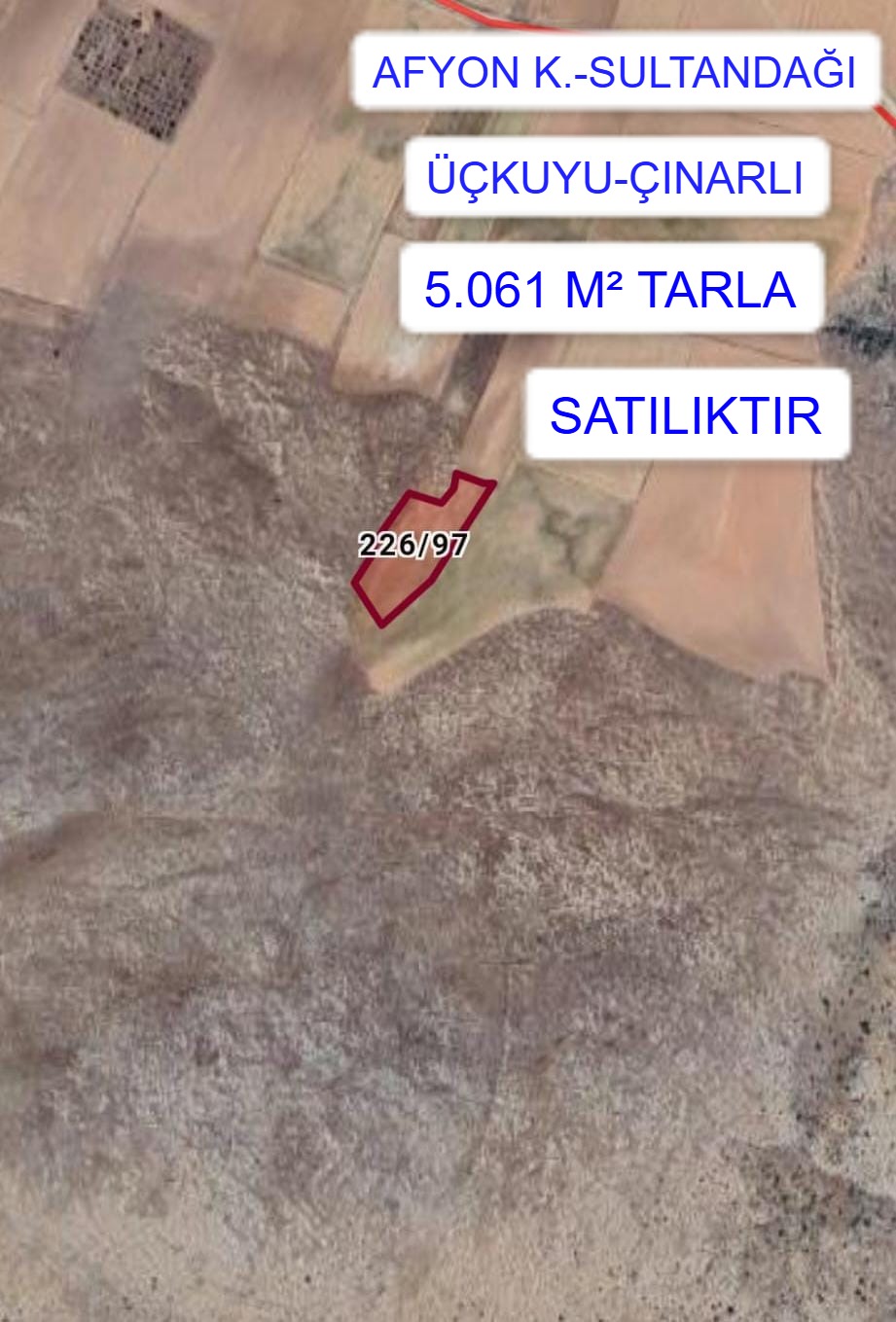 Fotoğraf