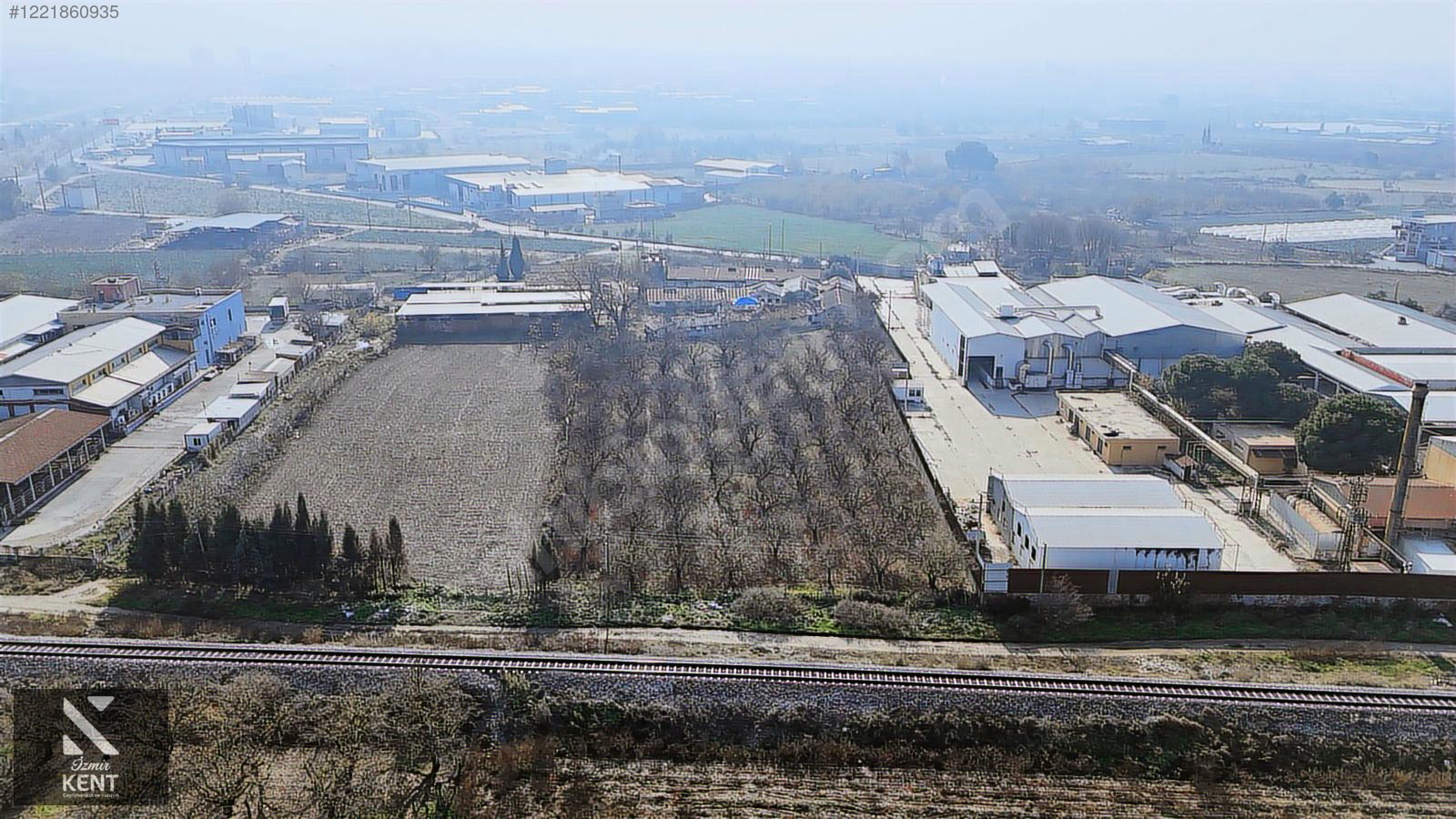 Fotoğraf