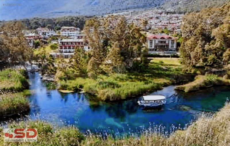 Muğla Ula Gökçe Köyü Fırsat Narenciye Bahçesi