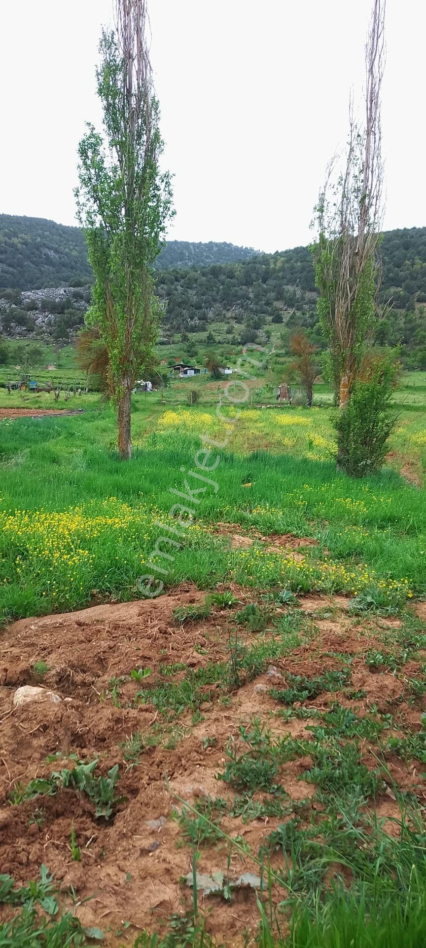 İlan Fotoğrafı