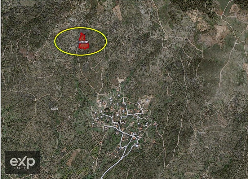 Bayındır Yeşilova Müstakil Tapulu 4.900 m2 Satılık Zeytinlik