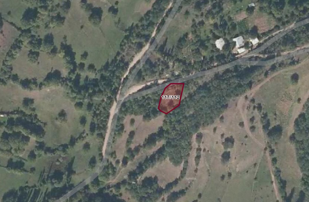 Fotoğraf