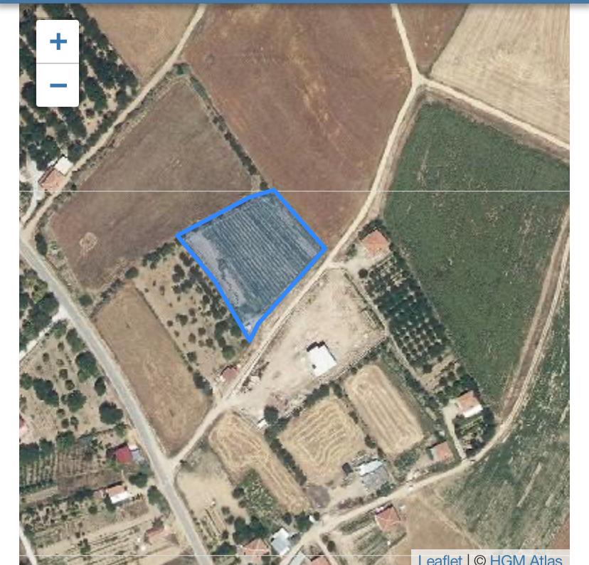 Fotoğraf