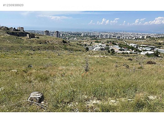 Fotoğraf