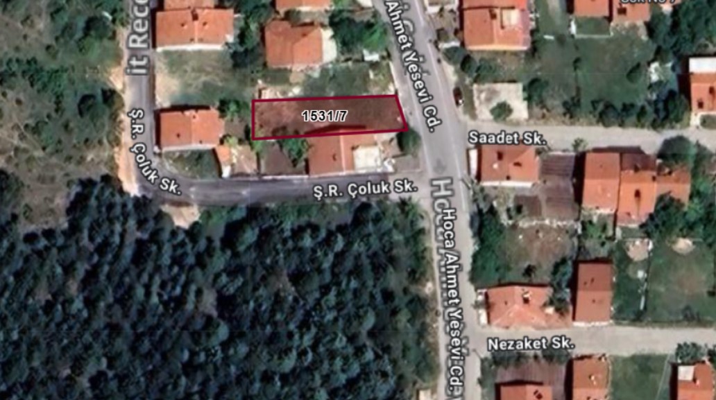 Fotoğraf