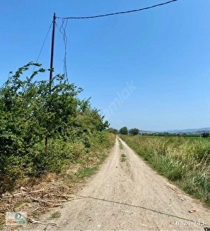 Atariyede İmar bitişiği Satılık15.5 dönüm Kıymetli Arazi.