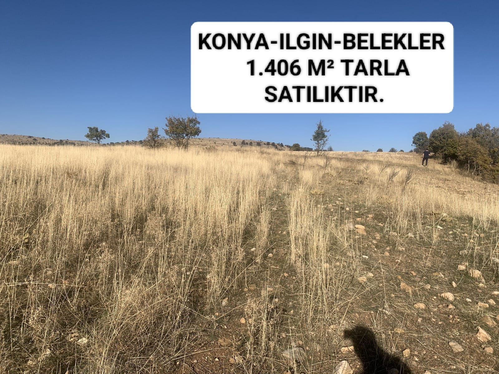 Fotoğraf
