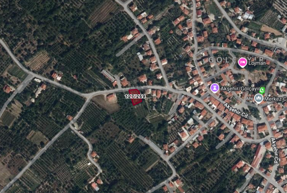 Fotoğraf