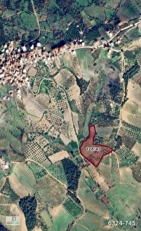  Köye yakın yola cepheli İhtiyaçtan Acil Satılık 15.200 m2 Yatırımlık Arazi.