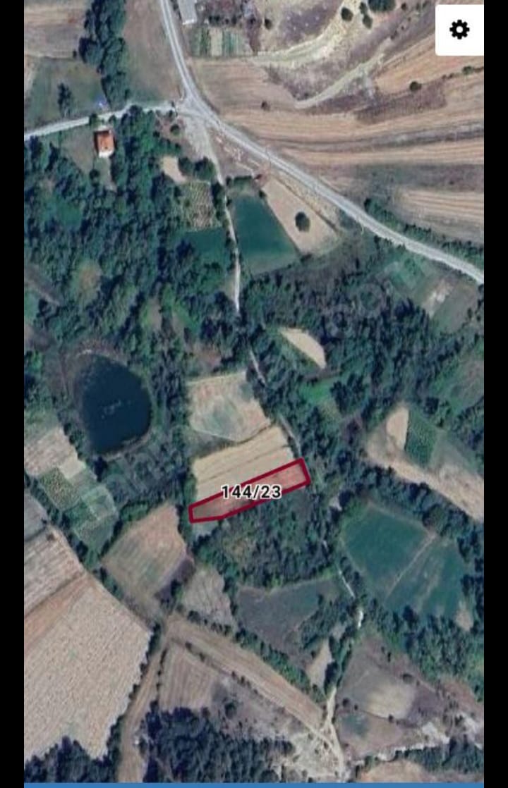 Fotoğraf