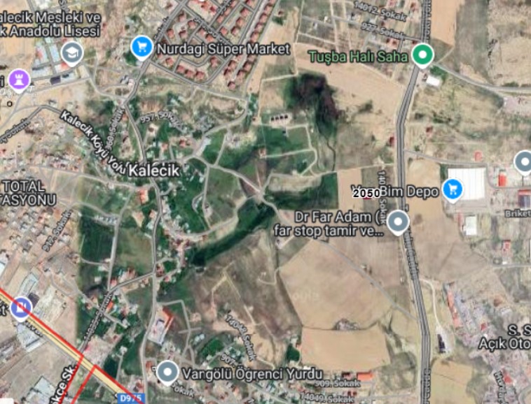 Fotoğraf