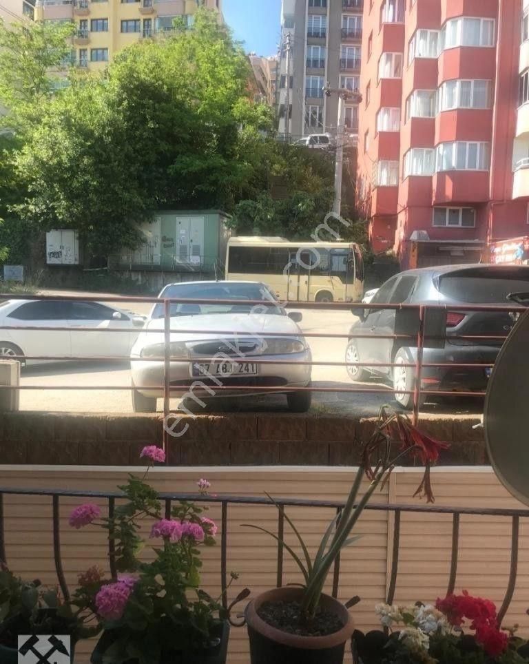 Fotoğraf
