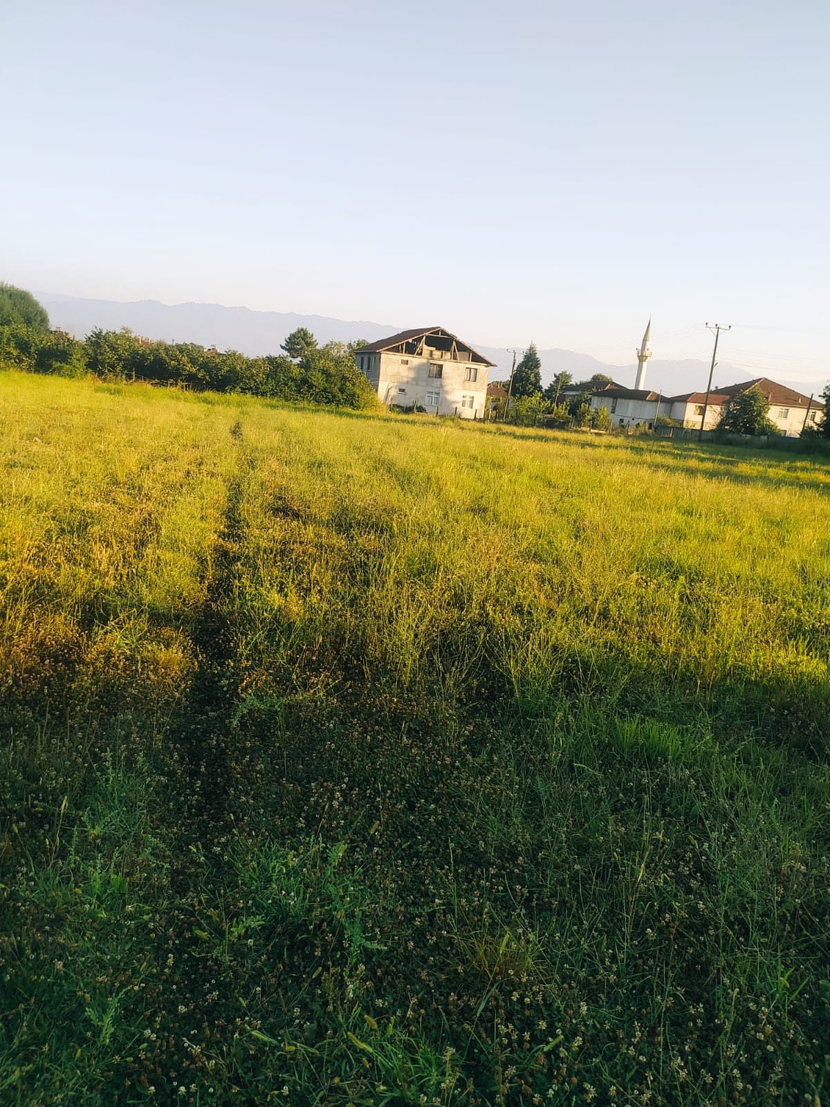 Fotoğraf