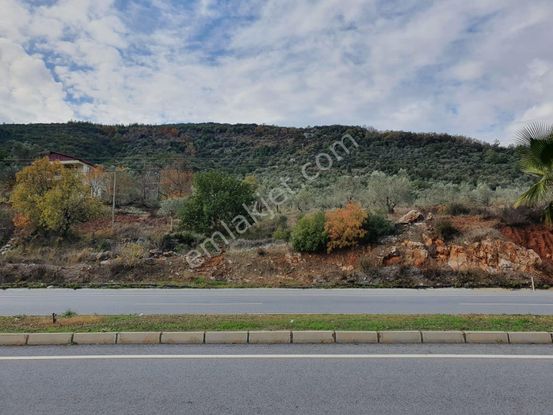 İlan Fotoğrafı