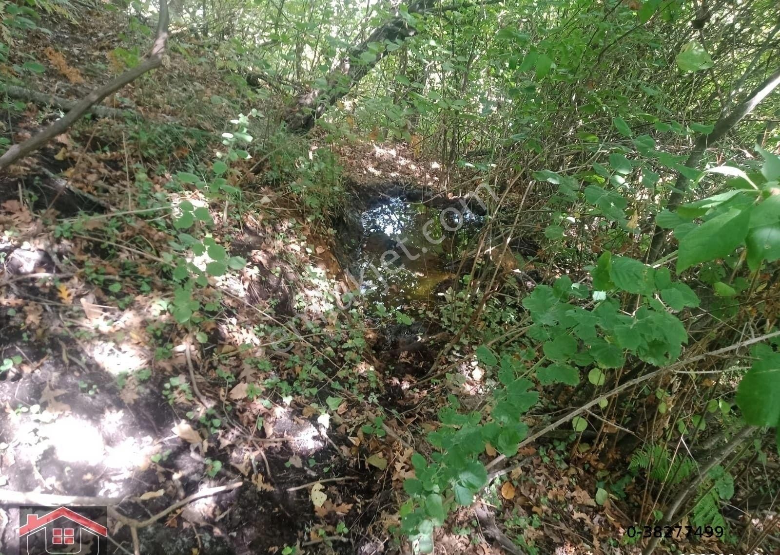 İlan Fotoğrafı